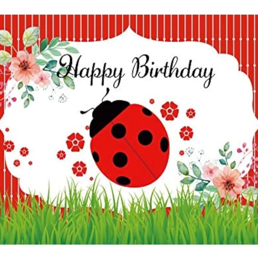 Ladybug Happy Birthday backdrop,5x3ft